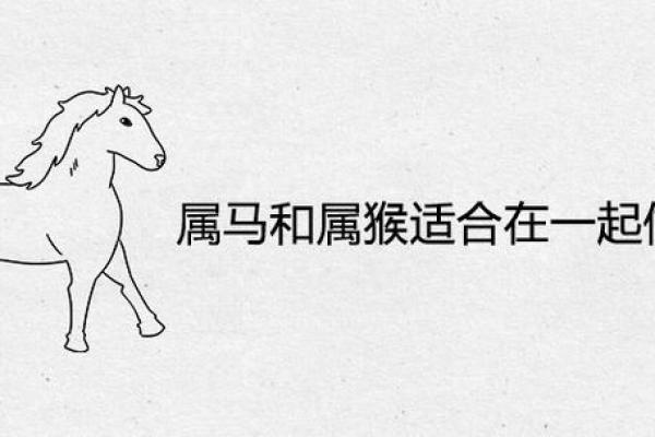 02年男属马和属猴相配吗,2002年属马与属猴的结合如何