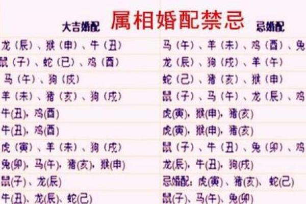 属牛和属可相配（属牛与属可的完美搭配）