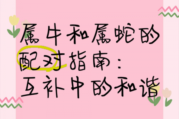 属牛和属可相配（属牛与属可的完美搭配）